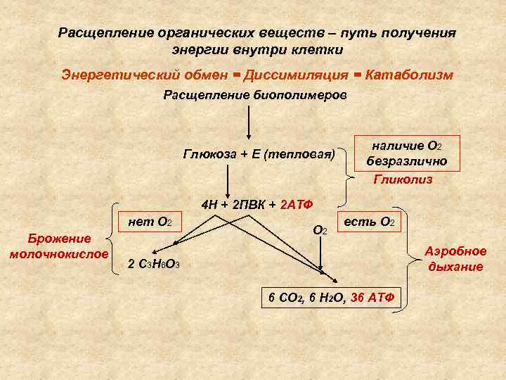 Как расщепляются сложные вещества. Схема расщепления веществ. Распад органических веществ.