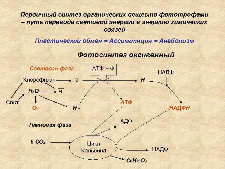 Какие связи в органической химии. Синтез органических веществ. Синтез оргническихвеществ.