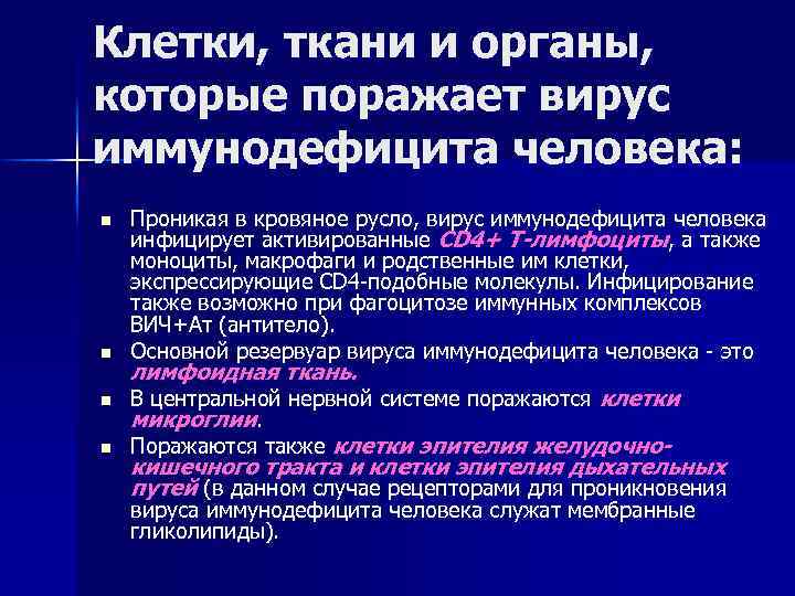 Клетки, ткани и органы, которые поражает вирус иммунодефицита человека: n n Проникая в кровяное