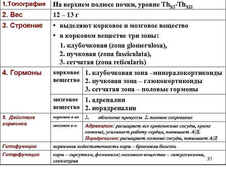 1. Топография На верхнем полюсе почки, уровне Th. XI-Th. XII 2. Вес 12 –