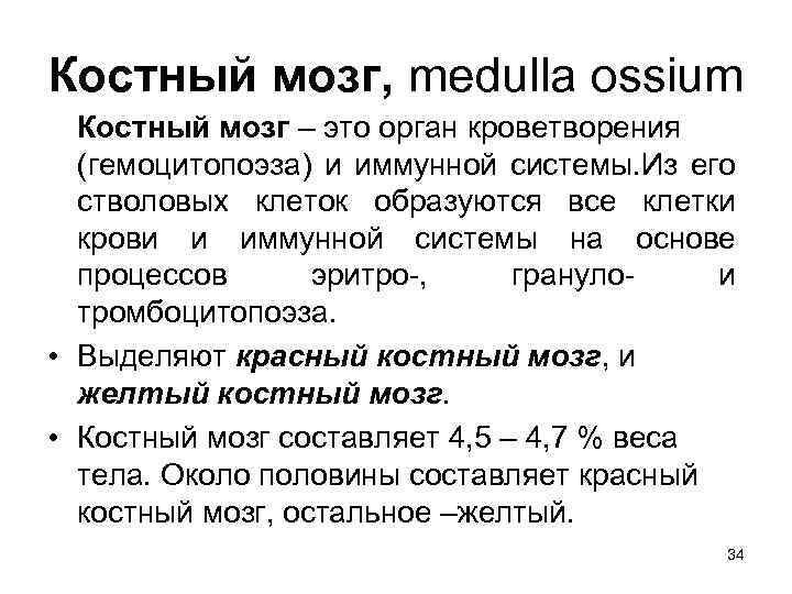 Костный мозг, medulla ossium Костный мозг – это орган кроветворения (гемоцитопоэза) и иммунной системы.