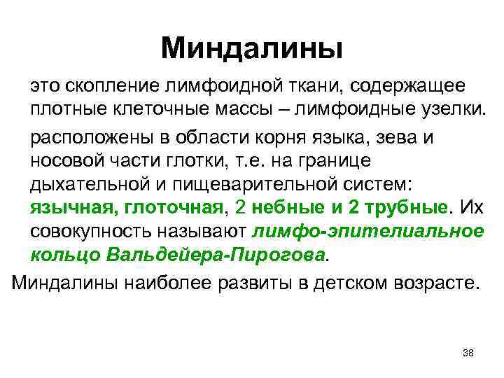 Миндалины это скопление лимфоидной ткани, содержащее плотные клеточные массы – лимфоидные узелки. расположены в