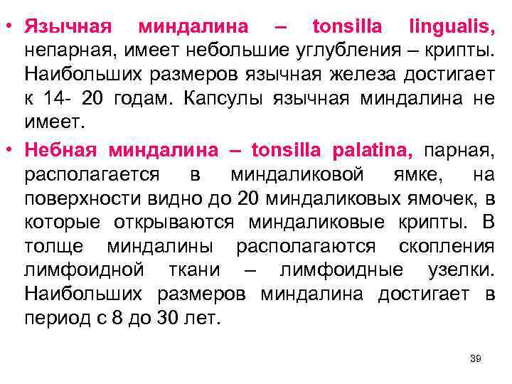  • Язычная миндалина – tonsilla lingualis, непарная, имеет небольшие углубления – крипты. Наибольших
