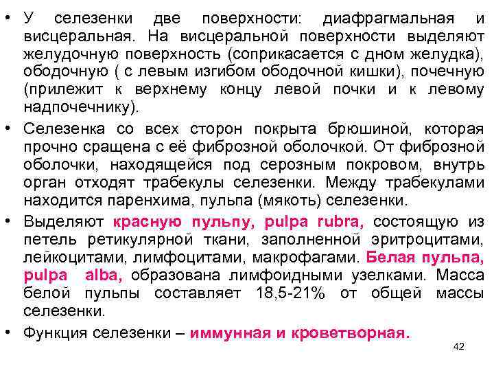  • У селезенки две поверхности: диафрагмальная и висцеральная. На висцеральной поверхности выделяют желудочную