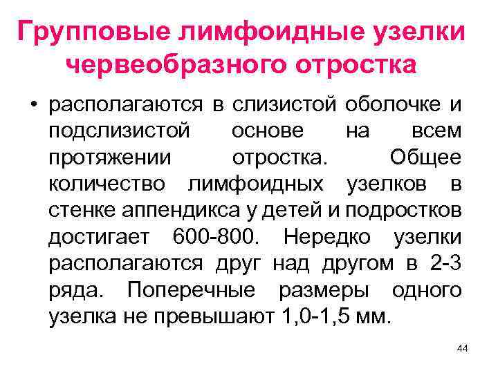 Групповые лимфоидные узелки червеобразного отростка • располагаются в слизистой оболочке и подслизистой основе на