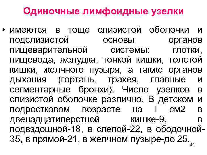 Одиночные лимфоидные узелки • имеются в тоще слизистой оболочки и подслизистой основы органов пищеварительной