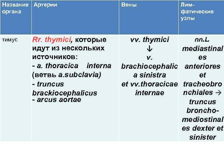Название Артерии органа тимус Вены Лимфатические узлы nn. L. Rr. thymici, которые vv. thymici