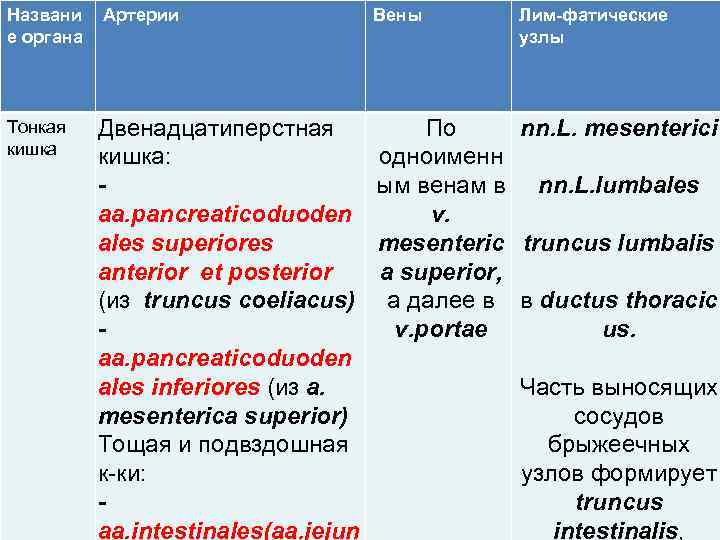 Названи е органа Артерии Вены Лим-фатические узлы Тонкая кишка Двенадцатиперстная кишка: - aa. pancreaticoduoden