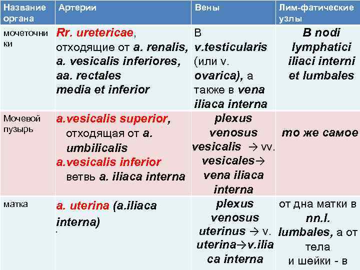 Название органа Артерии мочеточни ки Rr. иretericae, В В nodi отходящие от a. renalis,