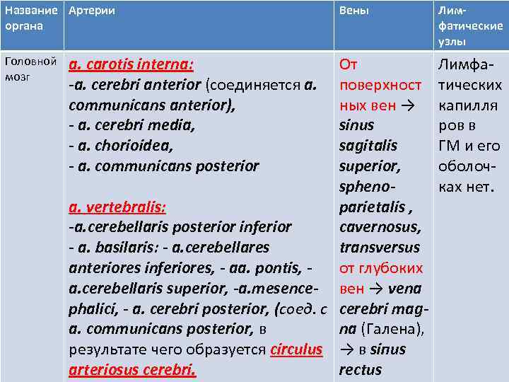 Название Артерии органа Головной мозг а. саrotis interna: -a. cerebri anterior (соединяется а. соттиnicans