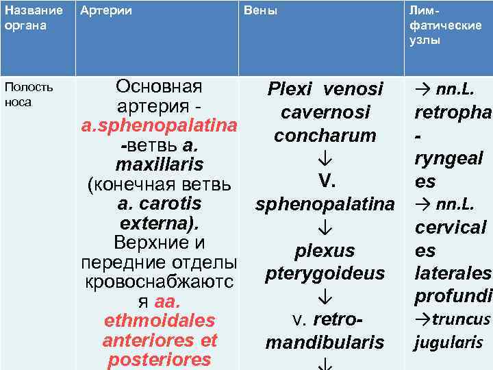 Название органа Артерии Вены Лимфатические узлы Полость носа Основная Plexi venosi → nn. L.