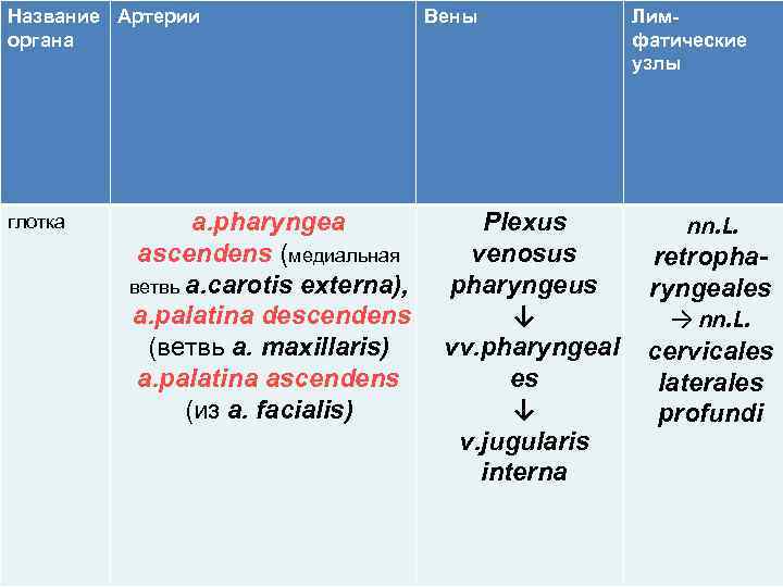 Название Артерии органа глотка Вены a. pharyngea Plexus ascendens (медиальная venosus ветвь a. carotis