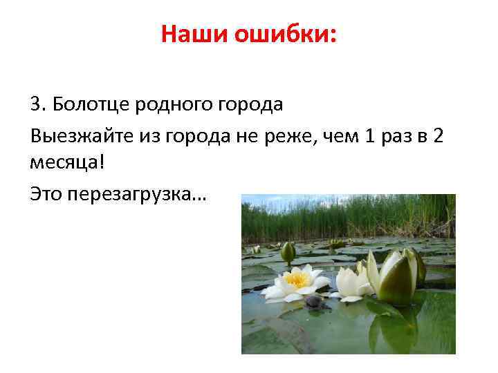 Наши ошибки: 3. Болотце родного города Выезжайте из города не реже, чем 1 раз