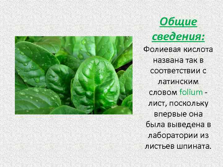 Общие сведения: Фолиевая кислота названа так в соответствии с латинским словом folium - лист,