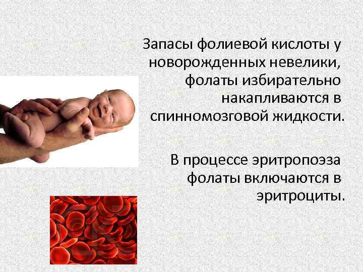 Запасы фолиевой кислоты у новорожденных невелики, фолаты избирательно накапливаются в спинномозговой жидкости. В процессе
