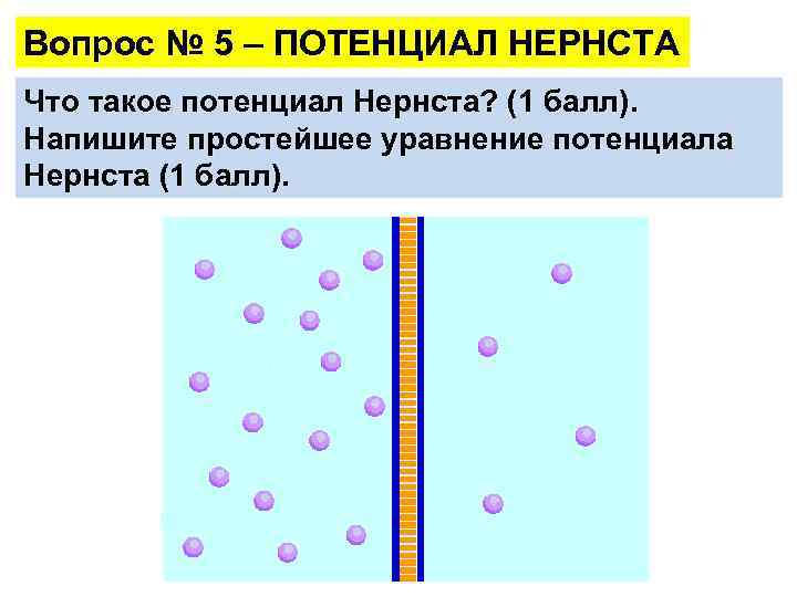 Вопрос № 5 – ПОТЕНЦИАЛ НЕРНСТА Что такое потенциал Нернста? (1 балл). Напишите простейшее