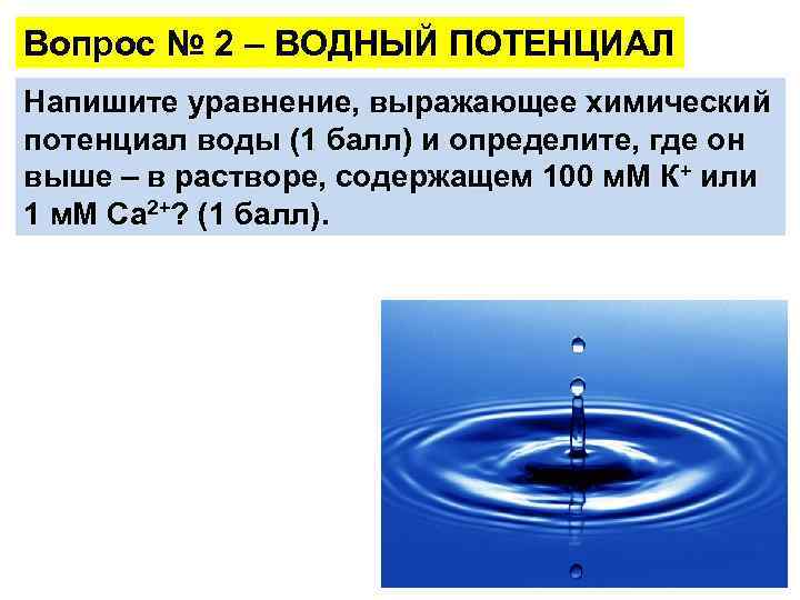 Вода менее 5. Химический потенциал воды. Уравнение водного потенциала. Водный потенциал клетки.