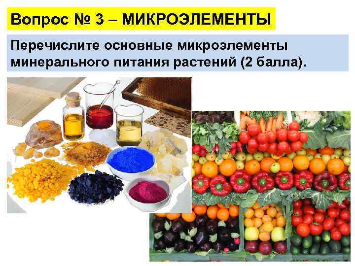 Вопрос № 3 – МИКРОЭЛЕМЕНТЫ Перечислите основные микроэлементы минерального питания растений (2 балла). 