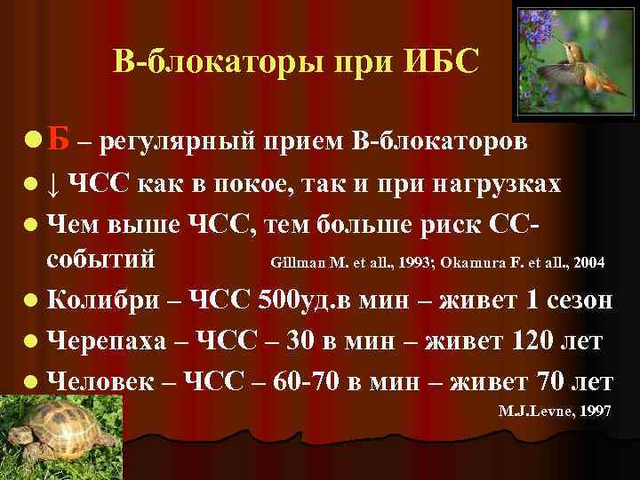 В-блокаторы при ИБС l Б – регулярный прием В-блокаторов l ↓ ЧСС как в