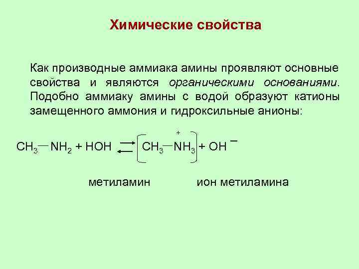 Амины являются органическими основаниями