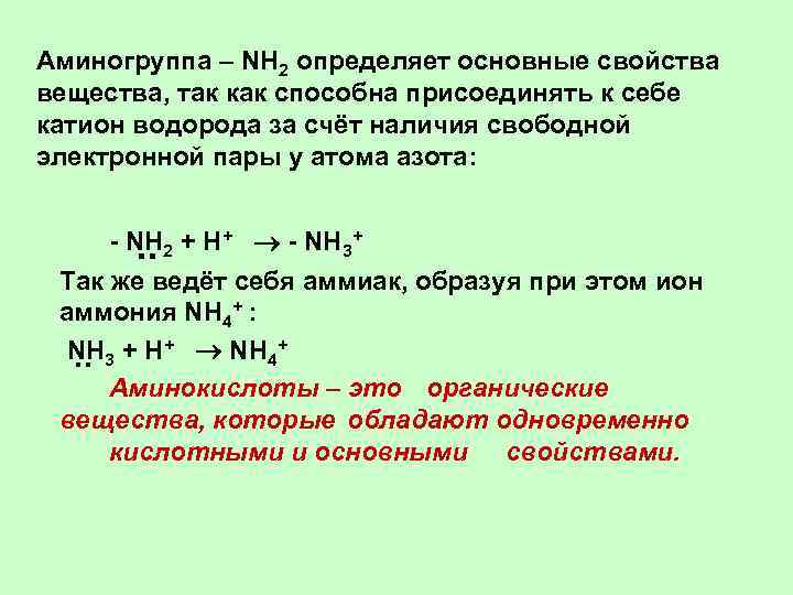 Аминогруппа – NH 2 определяет основные свойства вещества, так как способна присоединять к себе