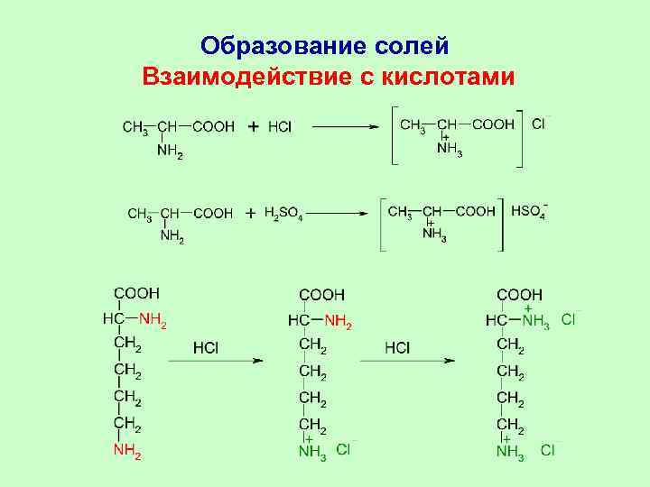 Образование солей Взаимодействие с кислотами 