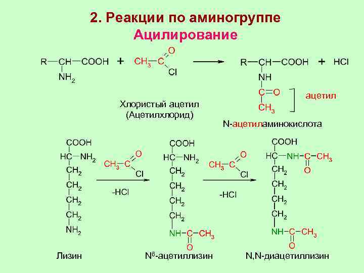 2. Реакции по аминогруппе Ацилирование Хлористый ацетил (Ацетилхлорид) ацетил N-ацетиламинокислота Лизин N 6 -ацетиллизин