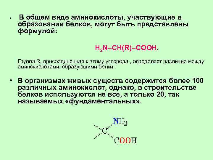  • В общем виде аминокислоты, участвующие в образовании белков, могут быть представлены формулой: