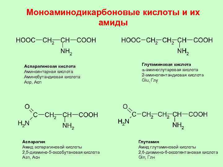 Моноаминодикарбоновые кислоты и их амиды Аспарагиновая кислота Аминоянтарная кислота Аминобутандиовая кислота Asp, Аспарагин Амид