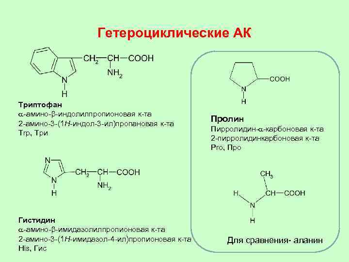 Гетероциклические АК Триптофан a-амино-b-индолилпропионовая к-та 2 -амино-3 -(1 H-индол-3 -ил)пропановая к-та Trp, Три Гистидин