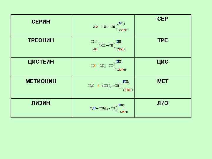 СЕРИН СЕР ТРЕОНИН ТРЕ ЦИСТЕИН ЦИС МЕТИОНИН МЕТ ЛИЗИН ЛИЗ 