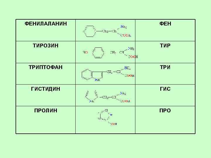 ФЕНИЛАЛАНИН ФЕН ТИРОЗИН ТИР ТРИПТОФАН ТРИ ГИСТИДИН ГИС ПРОЛИН ПРО 