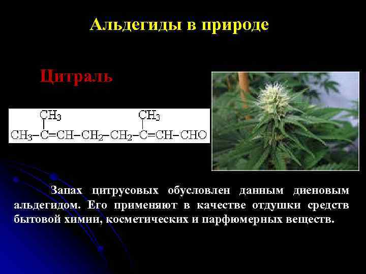 Альдегиды в природе Цитраль Запах цитрусовых обусловлен данным диеновым альдегидом. Его применяют в качестве