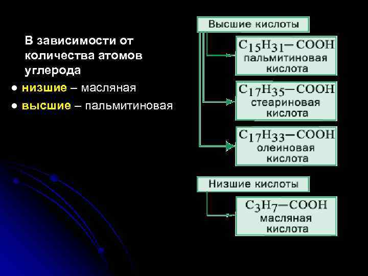 В зависимости от количества атомов углерода ● низшие – масляная ● высшие – пальмитиновая