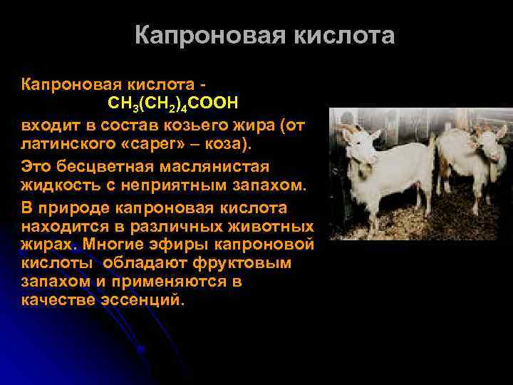 Капроновая кислота CH 3(CH 2)4 COOH входит в состав козьего жира (от латинского «caper»