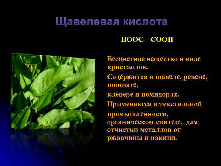 Щавелевая кислота НООС―СООН Бесцветное вещество в виде кристаллов. Содержится в щавеле, ревене, шпинате, клевере