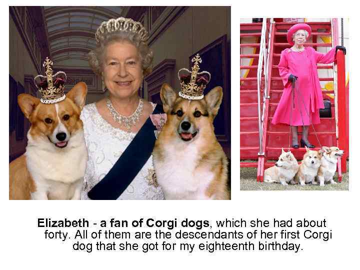 Elizabeth - a fan of Corgi dogs, which she had about forty. All of