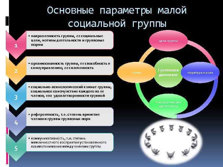 Направленность группы