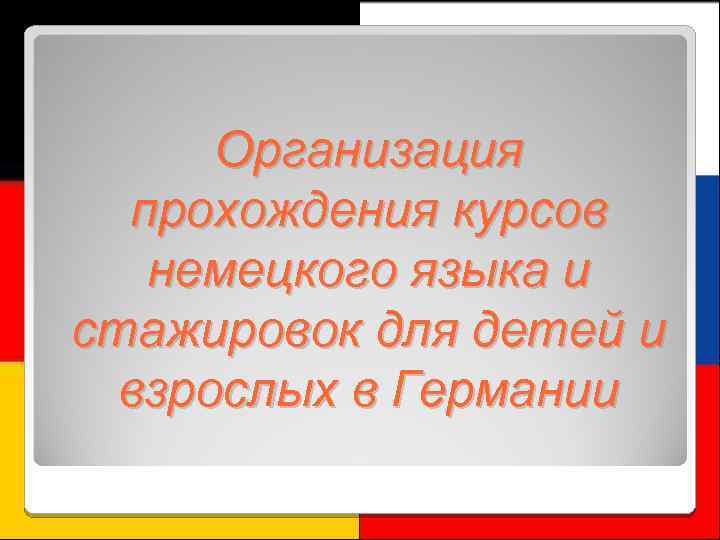 Организация прохождения курсов немецкого языка и стажировок для детей и взрослых в Германии 