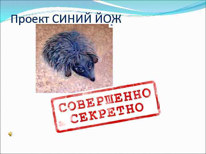 Проект СИНИЙ ЙОЖ 