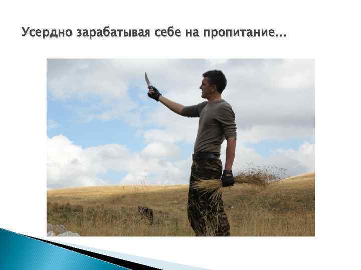 Усердно зарабатывая себе на пропитание… 