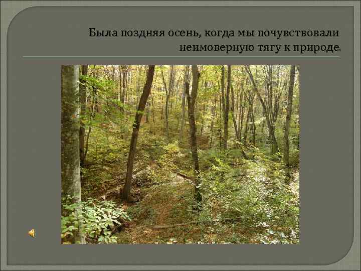 Была поздняя осень, когда мы почувствовали неимоверную тягу к природе. 