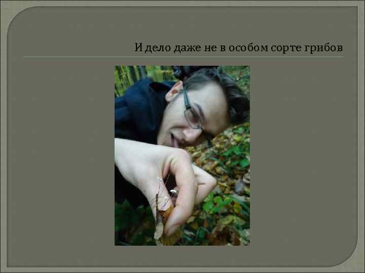 И дело даже не в особом сорте грибов 