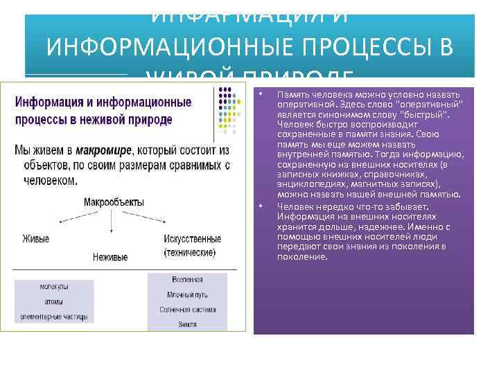 Что называют информационным процессом