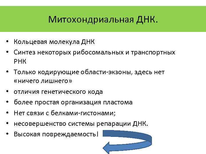 Митохондриальная ДНК. • Кольцевая молекула ДНК • Синтез некоторых рибосомальных и транспортных РНК •