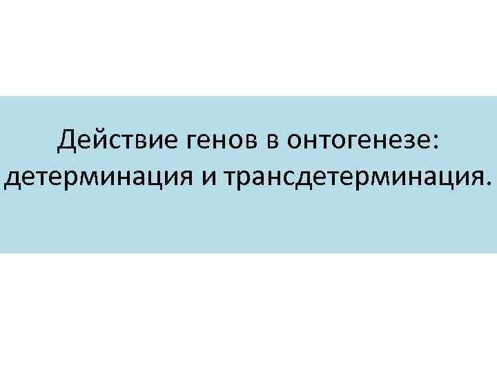 Действие генов в онтогенезе: детерминация и трансдетерминация. 