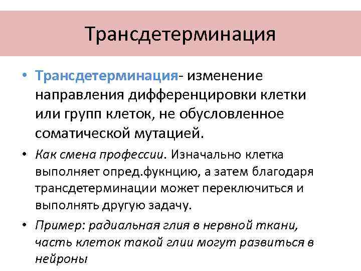 Трансдетерминация • Трансдетерминация- изменение направления дифференцировки клетки или групп клеток, не обусловленное соматической мутацией.