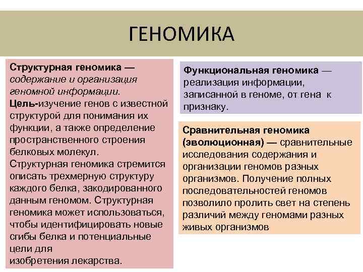 ГЕНОМИКА Структурная геномика — содержание и организация геномной информации. Цель-изучение генов с известной структурой