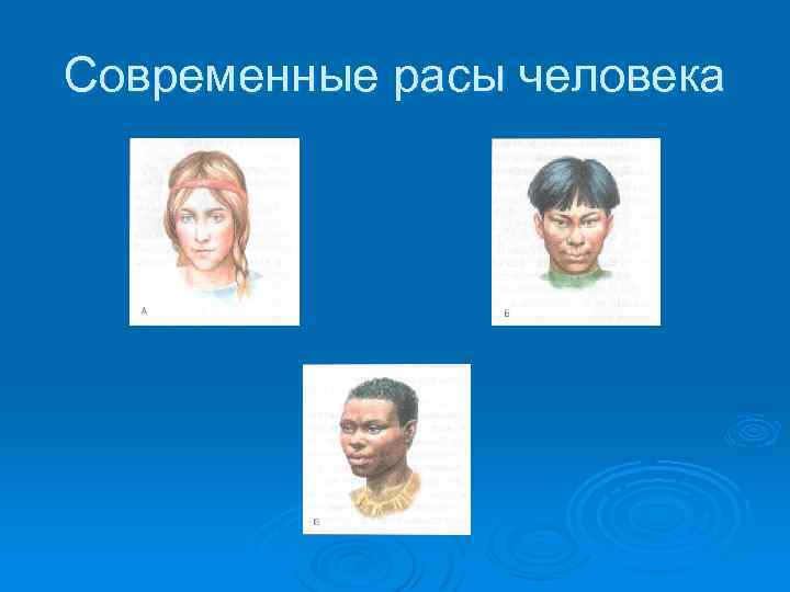 Современные расы человека 