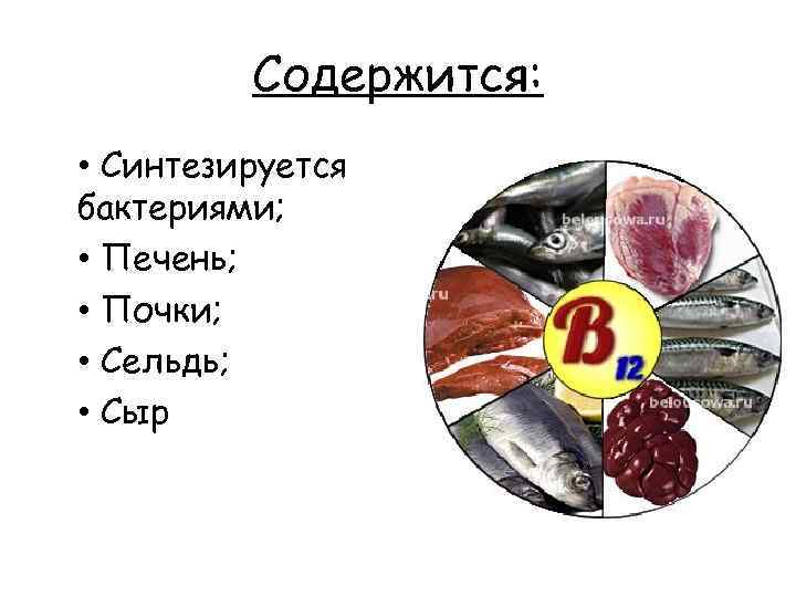 Содержится: • Синтезируется бактериями; • Печень; • Почки; • Сельдь; • Сыр 